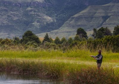 trout fly fishing drakensberg champagne castle hotel