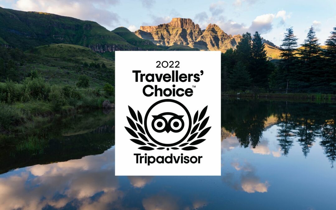 TripAdvisor 2022 Travellers’ Choice Award | Champagne Castle Hotel