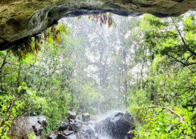 waterfall rain fern forest hike trail hiking